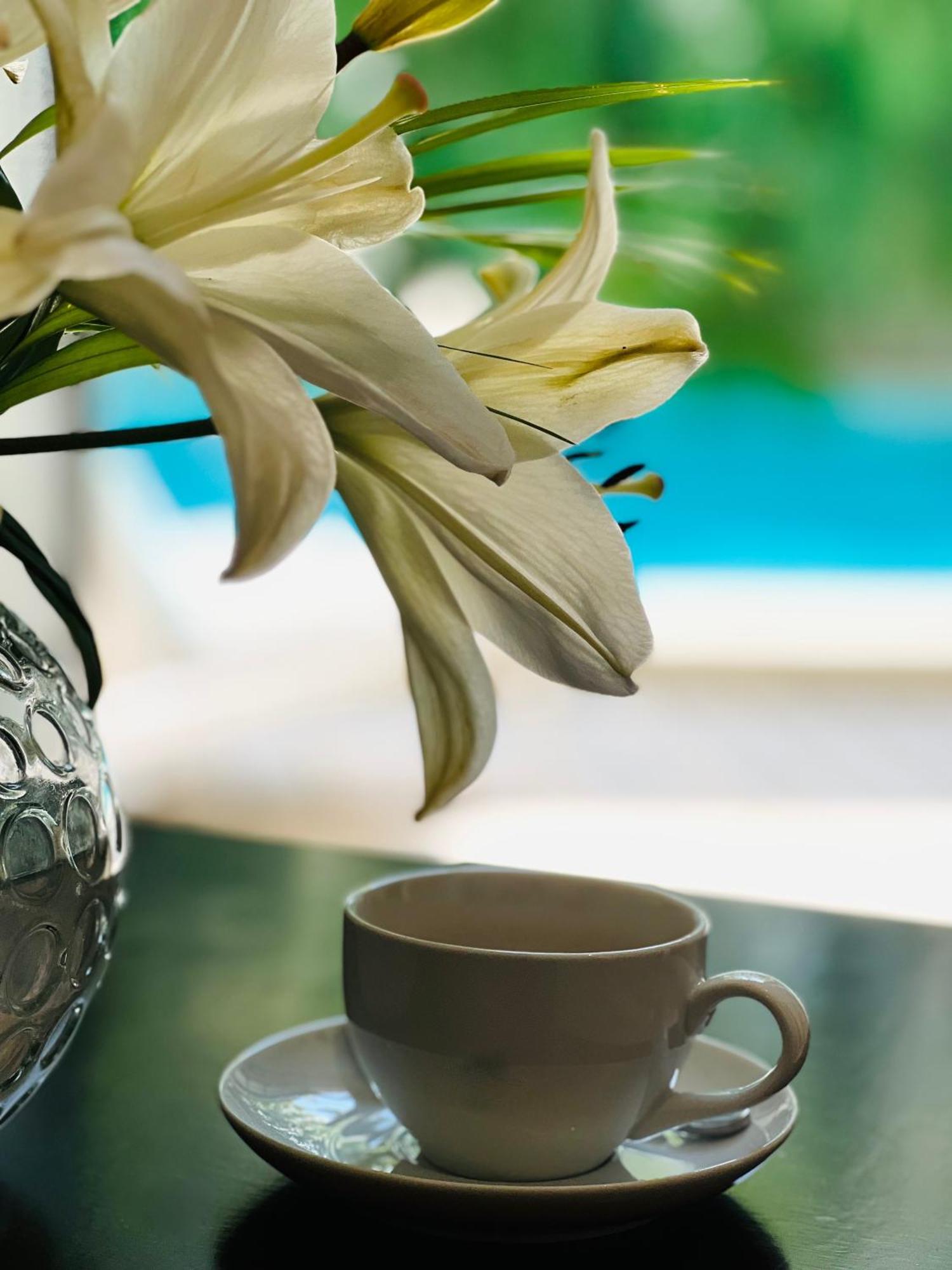 The Diplomat Boutique Hotel Mérida Zewnętrze zdjęcie