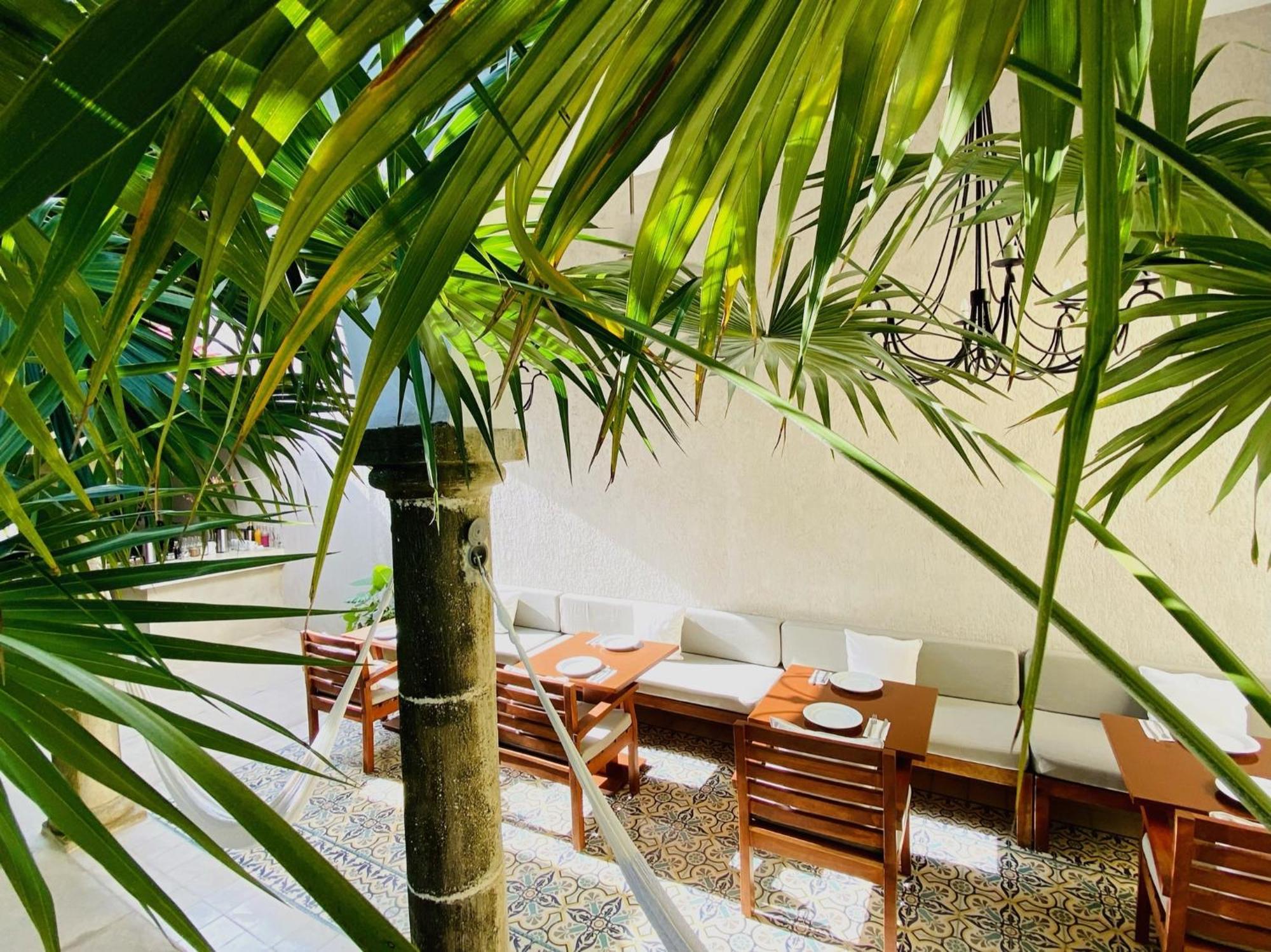 The Diplomat Boutique Hotel Mérida Zewnętrze zdjęcie